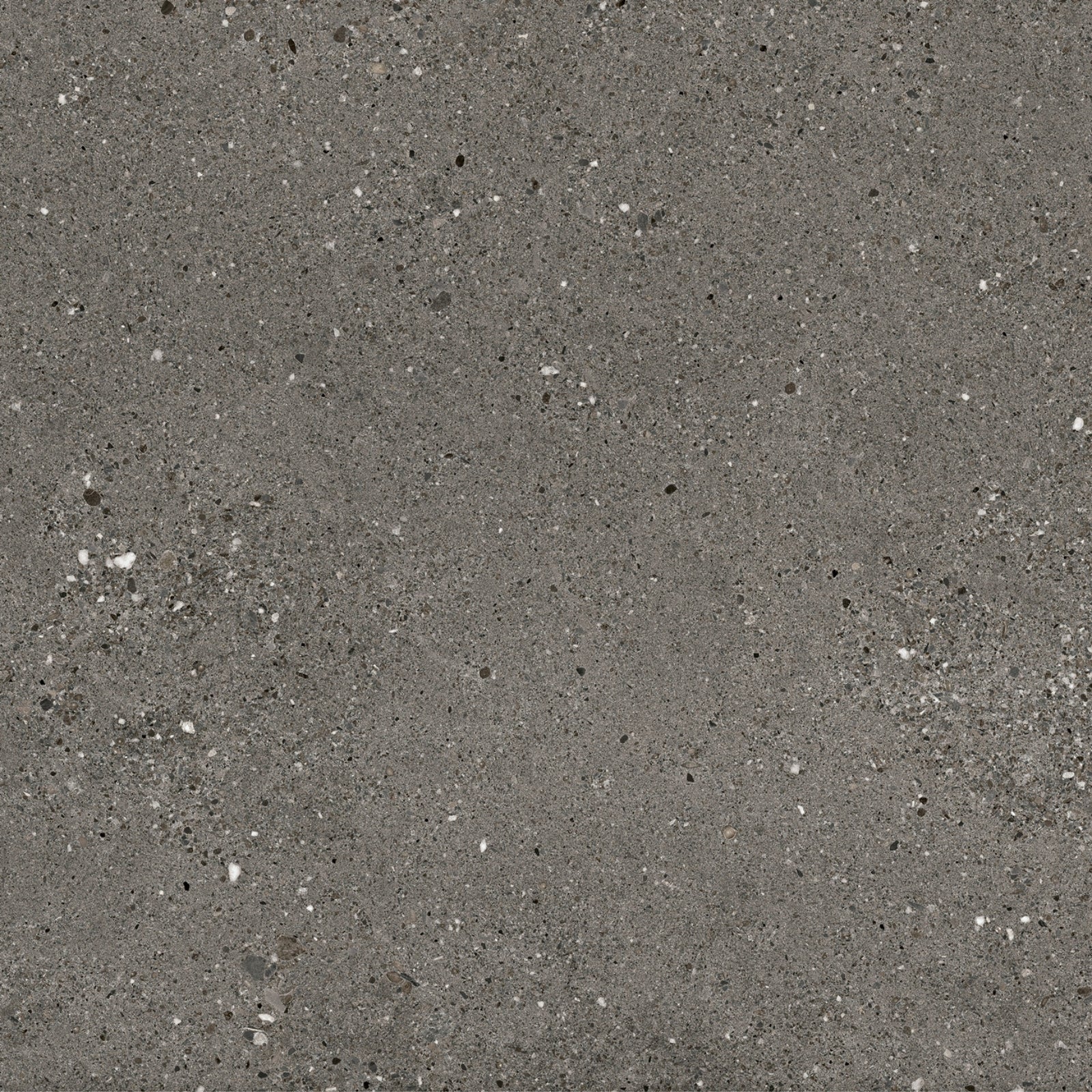 Dark Grey Frankie Polished Concrete Tile Matte R10 600 x 600 x 10mm Porcelain | The Blue Space
