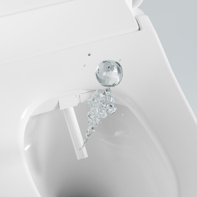 Lafeme Catania Bidet Toilet Seat Standard