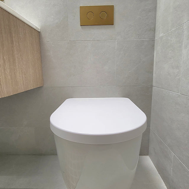 Caroma Invisi Series II Round Dual Flush Metal Plate & Buttons Brushed Brass