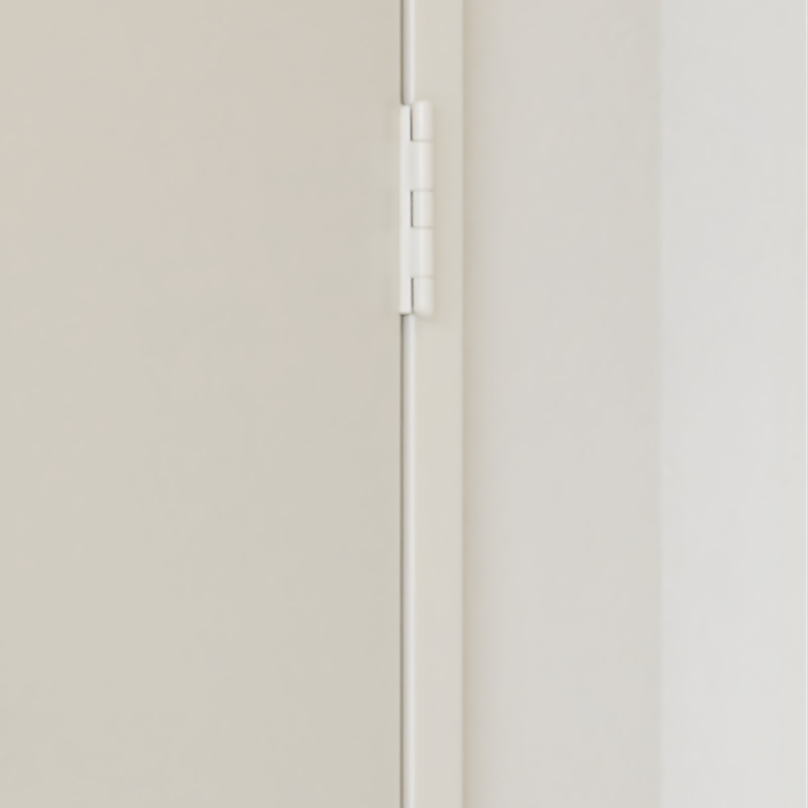 Zanda Butt Hinge Fixed Pin 100 x 100mm White - The Blue Space