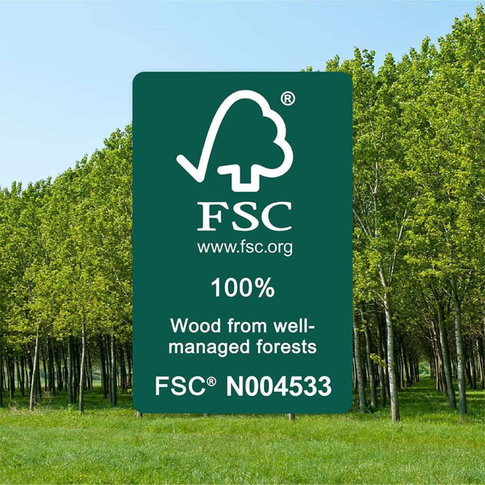 FSc Fanco EarthFirst Wynd 52'' (132cm) DC Ceiling Fan with LED Light - Ecru and Natural Timber KF2311/619A - The Blue Space