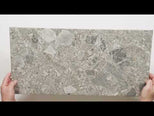 Southside Natural Terrazzo Matte Porcelain Tile P4 300mm x 600mm