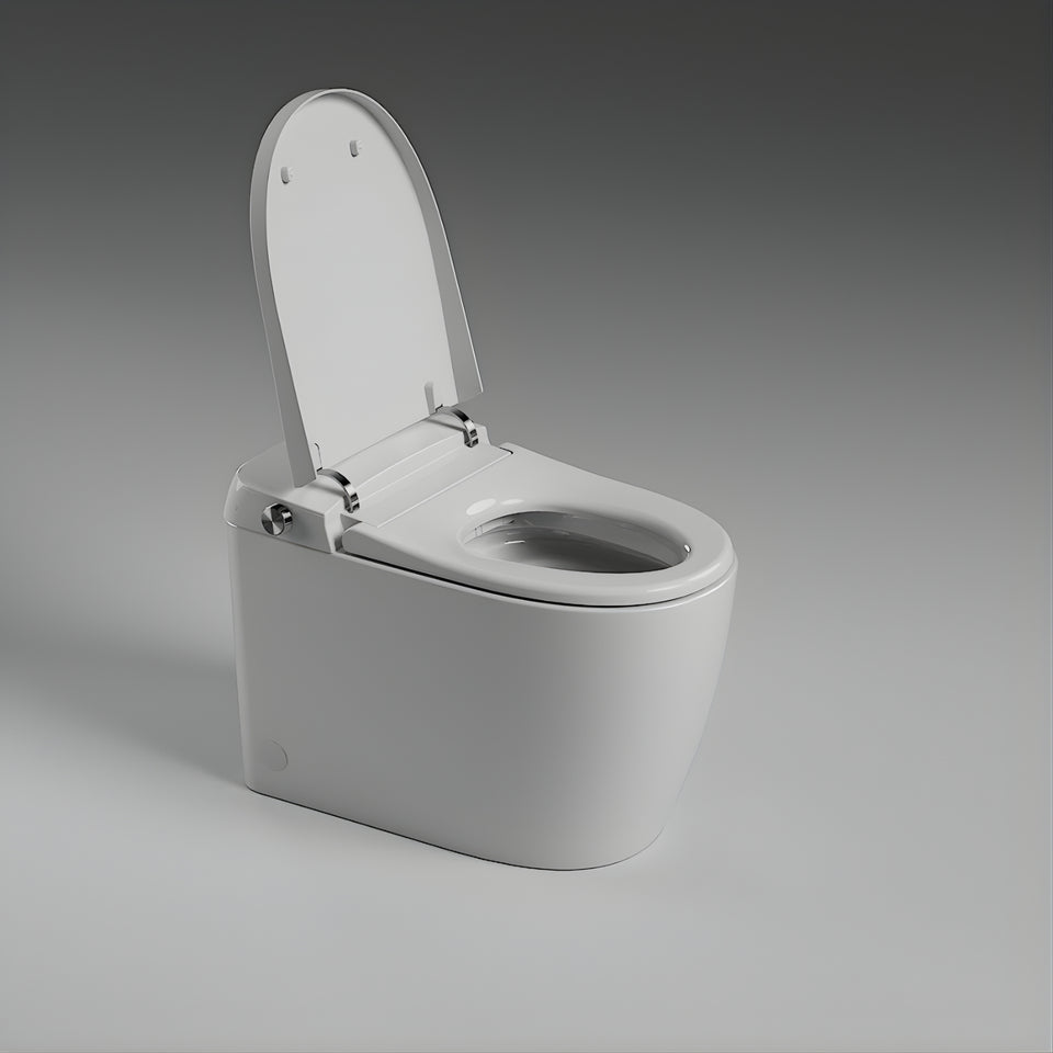 St George Brighton Smart Toilet (Intelligent Bidet Toilet) - Gloss White