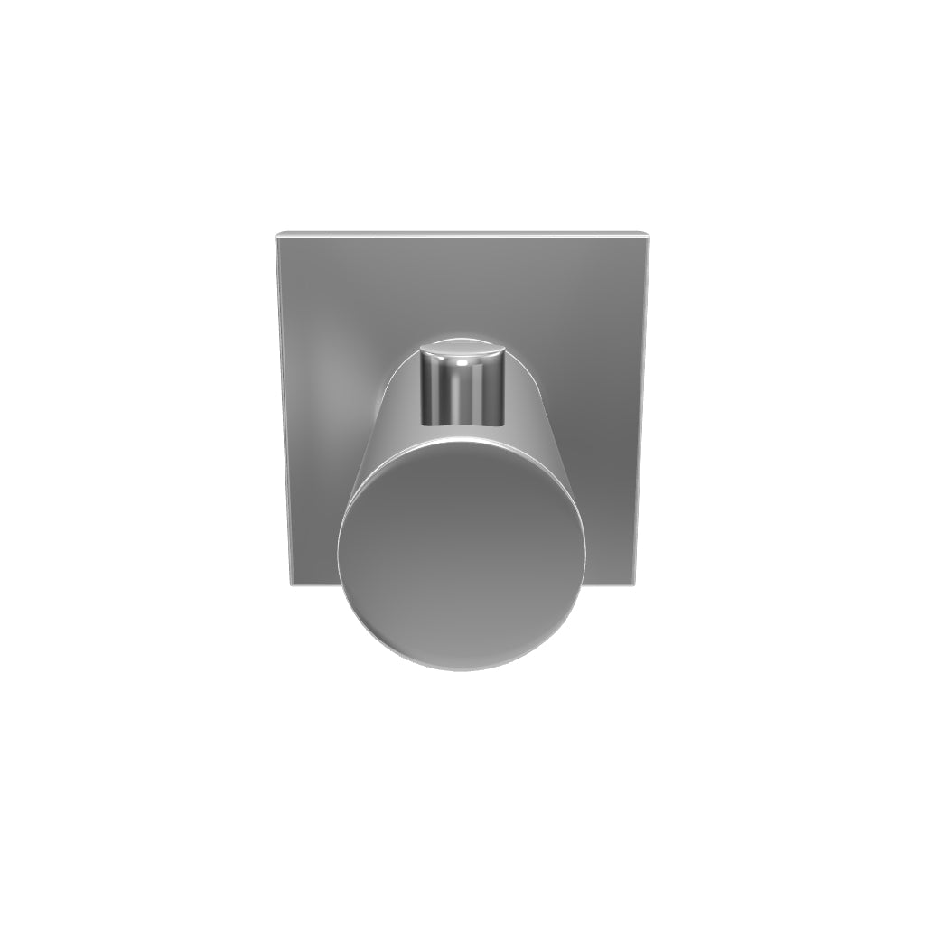 Phoenix Radii Robe Hook Square Plate-Chrome 3D Model - The Blue Space