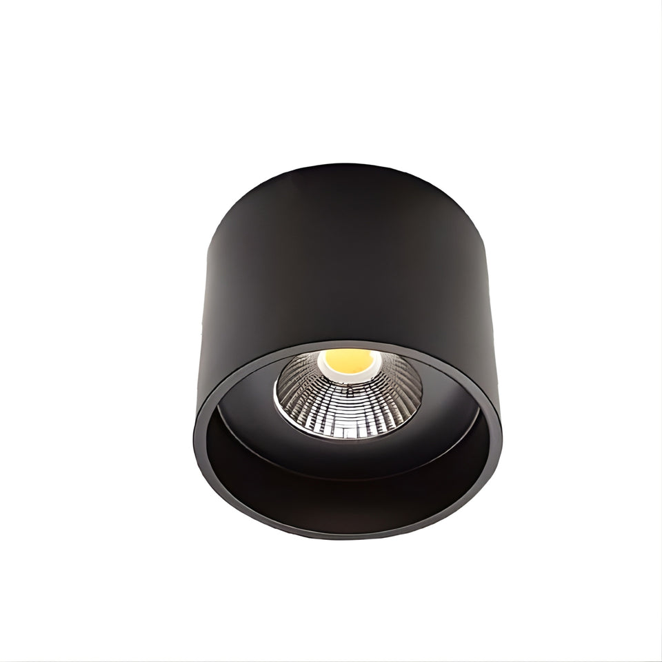 Telbix Keon 20W LED Ceiling Light Warm White - Black