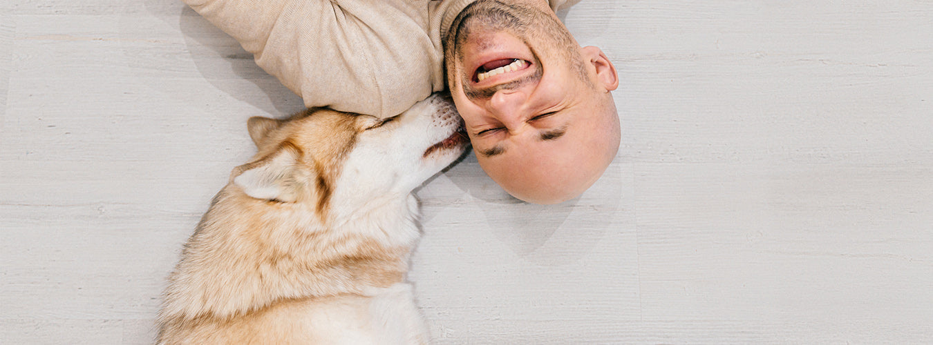Turning Your Laundry Into a Dogs Sanctuary