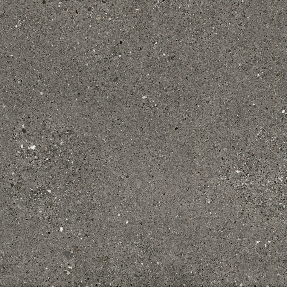 Dark Grey Frankie Polished Concrete Tile Matte P3 600 x 600 x 10mm Porcelain
