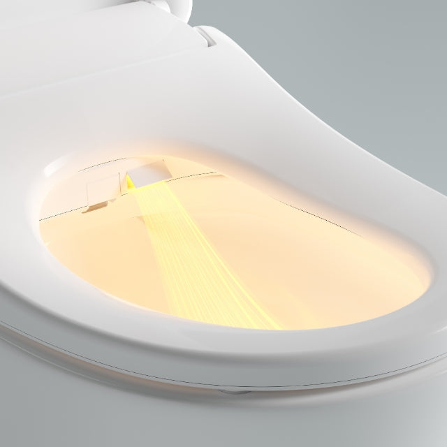 Lafeme Catania Bidet Toilet Seat Standard