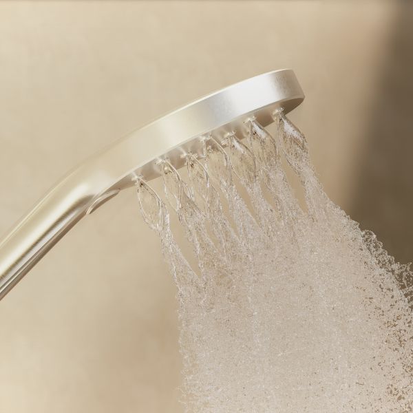 Phoenix Tapware Ormond Hand Shower Brushed Carbon