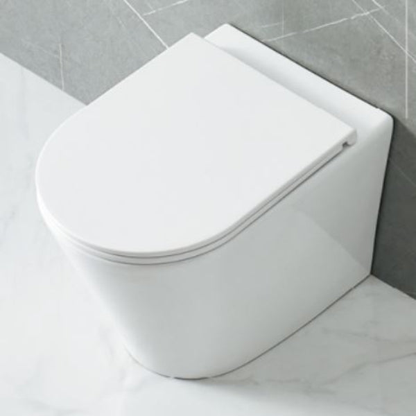Bao Elegant Rimless Wall Faced Toilet Pan + Seat