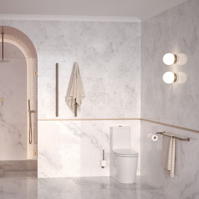 Caroma Liano II Double Toilet Roll Holder - Brushed Bronze