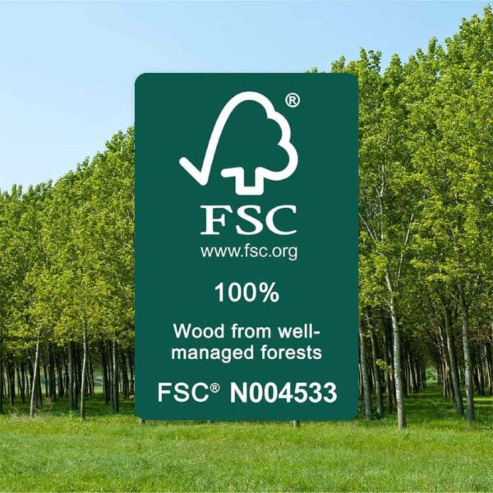 FSC Fanco EarthFirst Gaia 48" (122cm) DC Ceiling Fan - Ecru and Natural Timber F2200/619A - The Blue Space