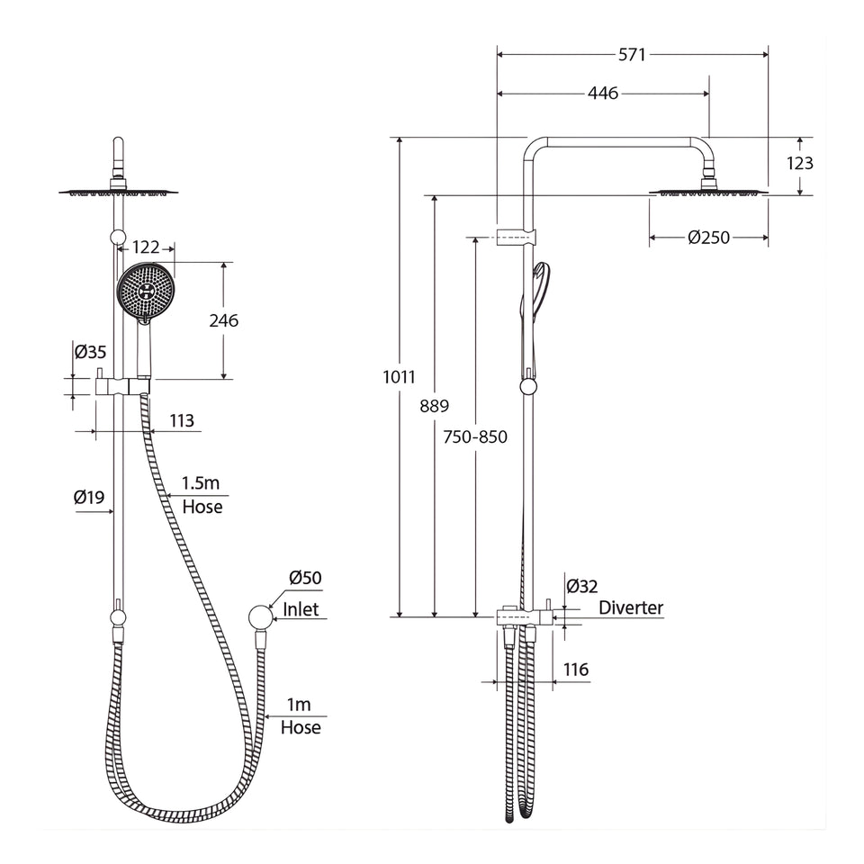 Fienza Kaya Retrofit Twin Shower - Chrome