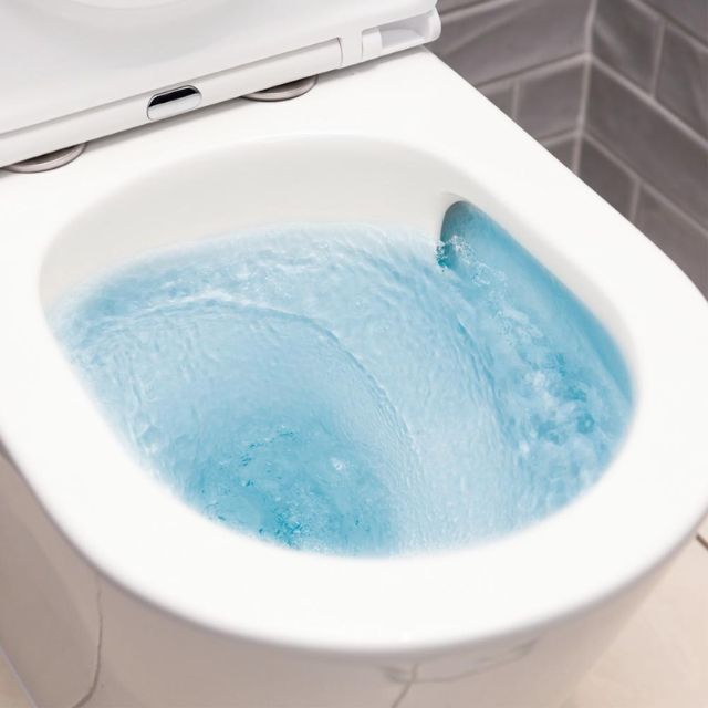 Lifestyle 2 Fienza Koko Tornado Flush Back-to-Wall Toilet Suite GEBERIT Internal - P-Trap K002GEP - The Blue Space