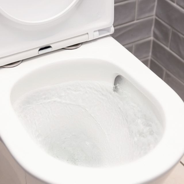 Lifestyle 1 Fienza Tono Tornado Flush Back-to-Wall Toilet Suite With Slim Seat R&T Internal - P-Trap K028P-2 - The Blue Space