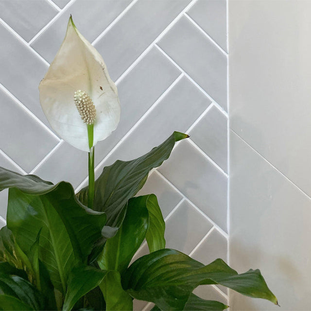 Light Grey Bella Subway Tile Textured Matte 65 x 265 x 7mm Ceramic