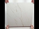 Sereno White Marble Grain Honed Porcelain Tile 600 x 600mm