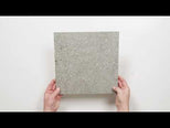 Frankie Light Grey Matte Porcelain Tile P3 300 x 300mm