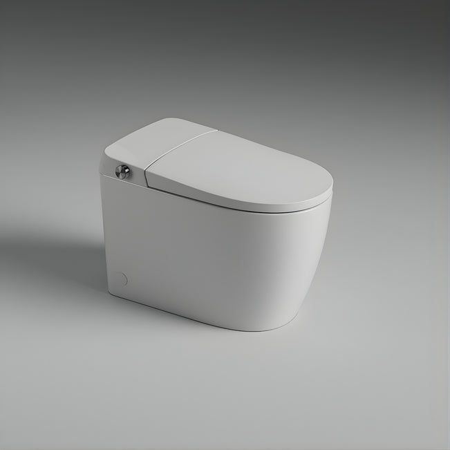 St George Brighton Smart Toilet (Intelligent Bidet Toilet) ST-ZTT-400 - The Blue Space