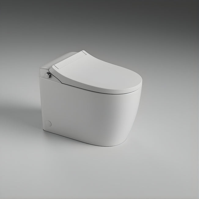St George Byron Smart Toilet (Intelligent Bidet Toilet) ST-ZTT-250 - The Blue Space