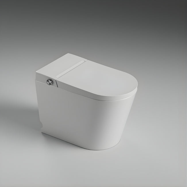 St George Coogee Smart Toilet (Intelligent Bidet Toilet) ST-ZTT-450 - The Blue Space