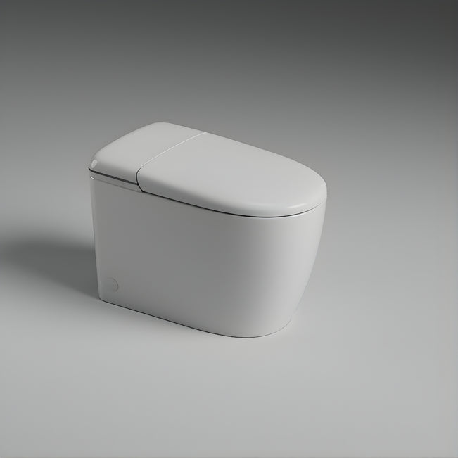 St George Mosman Smart Toilet (Intelligent Bidet Toilet) ST-ZTT-500 - The Blue Space