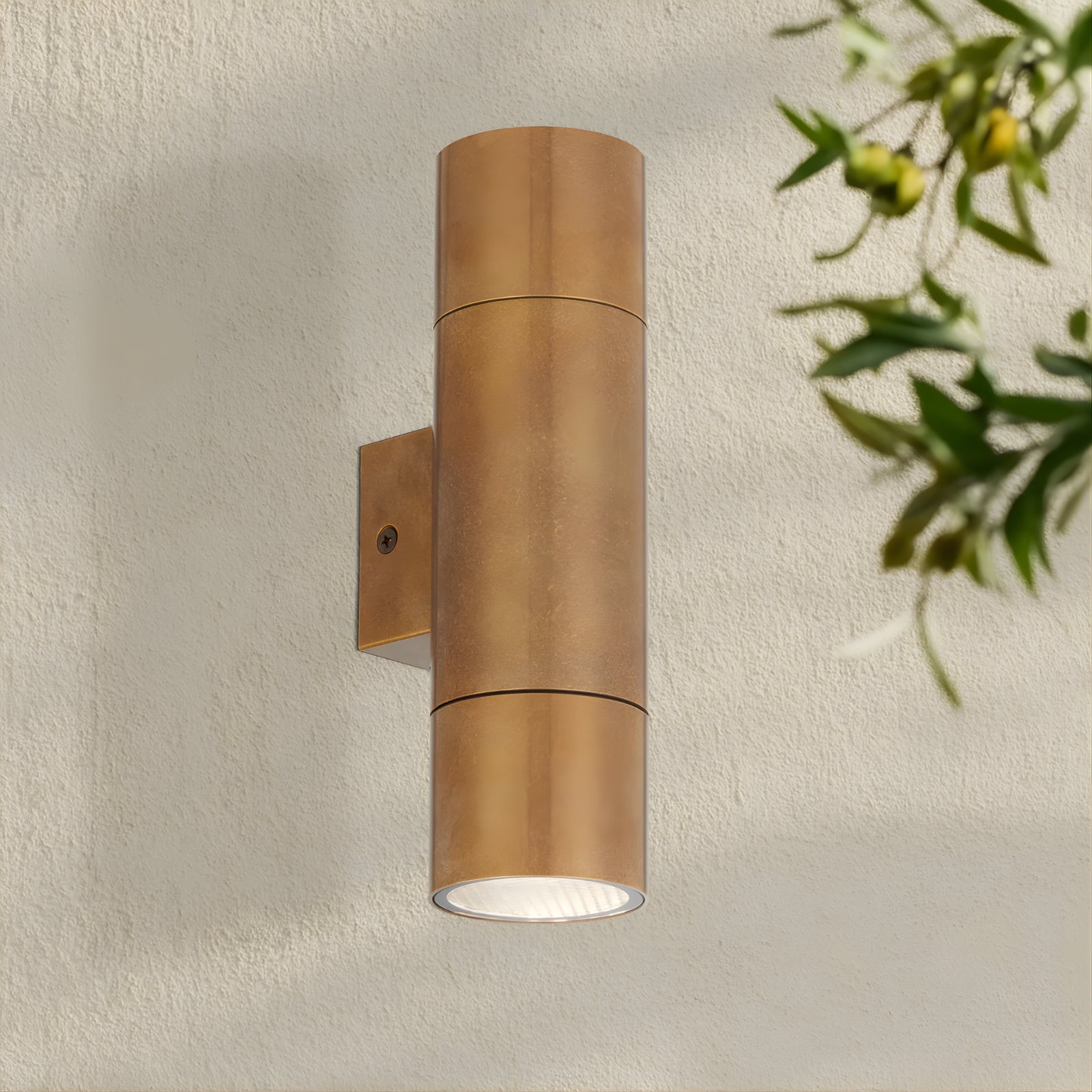 Lifestyle Telbix Walsh Wall light Natural Brass  WALSHEX2-BRS - The Blue Space