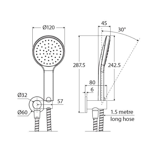 Fienza Kaya Hand Shower Round Plate Brushed Nickel