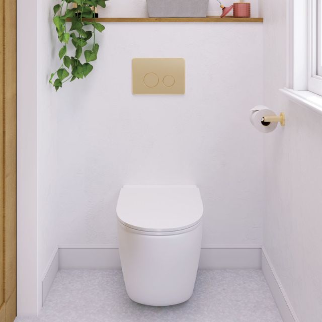 Fienza Kaya Toilet Roll Holder Urban Brass