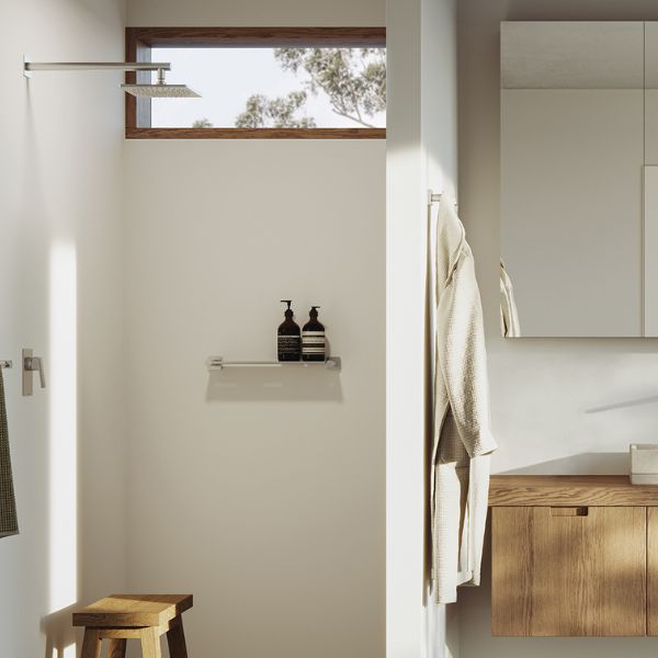 Phoenix Enviro316 Shower / Wall Mixer Stainless Steel