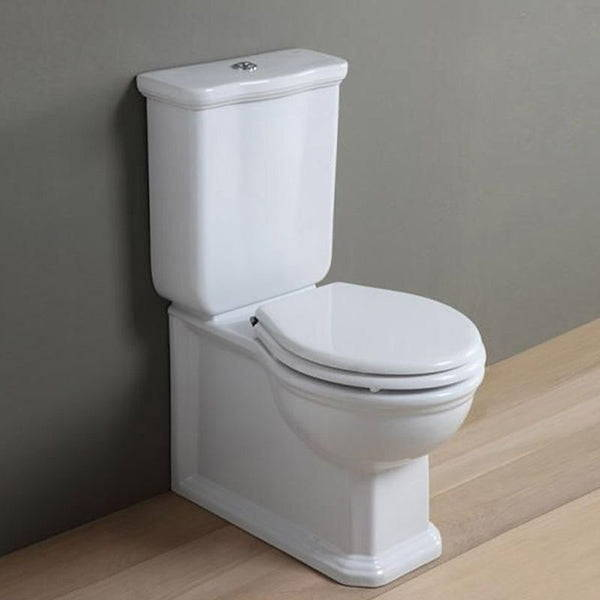 the-blue-space-type-traditional-toilets
