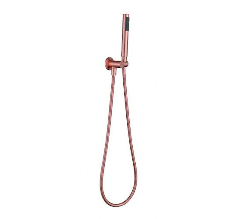 Modern National Star Mini Hand Shower on Bracket Champagne