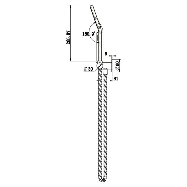 Modern National Star Mini Hand Shower on Bracket Brushed Bronze