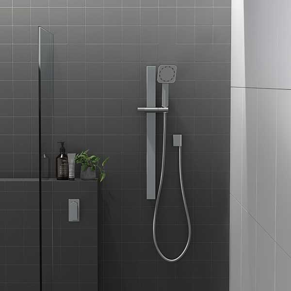 Phoenix NX ORLI with HydroSense Rail Shower