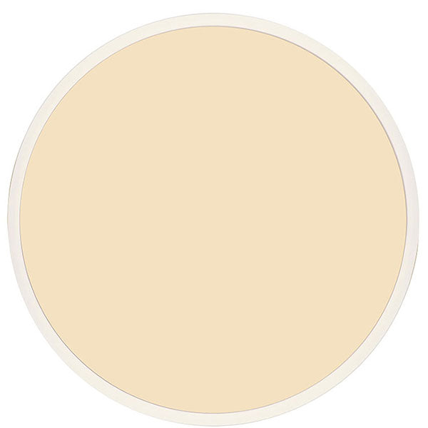 Telbix Sky 24W LED CCT Round Ceiling Light White