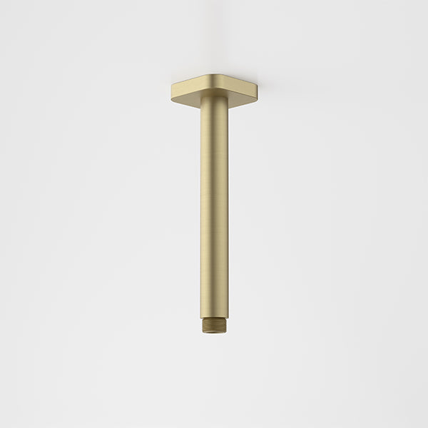 Caroma Luna Straight Arm 210mm Brushed Brass