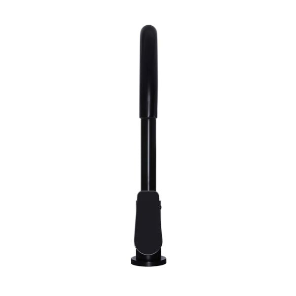 Meir Paddle Round Gooseneck Kitchen Sink Mixer Tap Matte Black