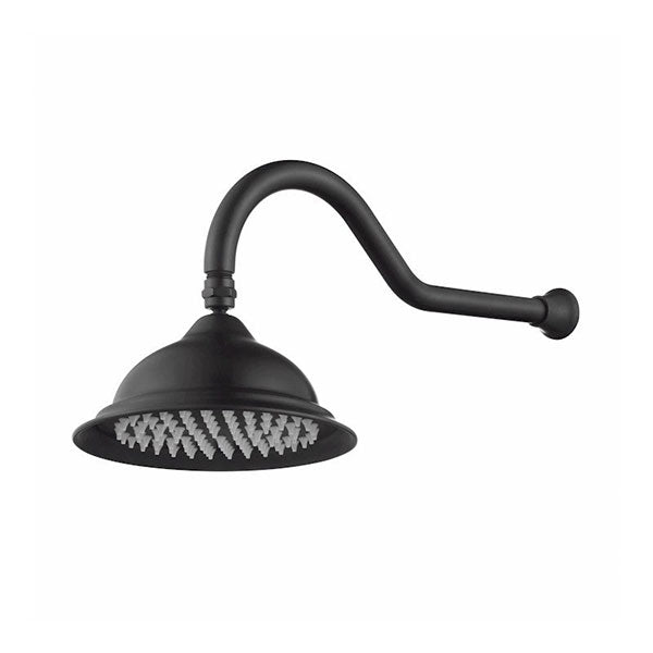 Modern National Bordeaux Shower Arm & Rose Black