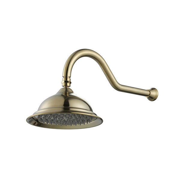 Modern National Bordeaux Shower Arm & Rose Brushed Bronze